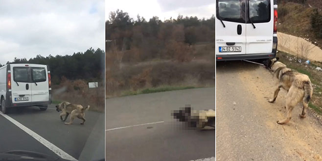 Vicdansız sürücünün kimliği belirlendi