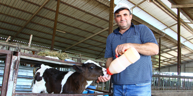 Hayvancılığa destekleme katkısı