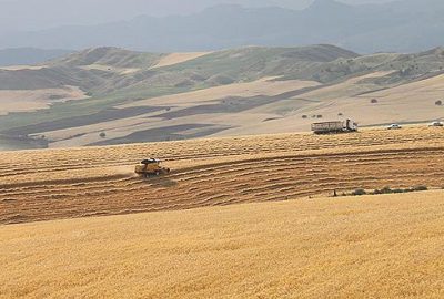 Tarımsal destekler belirlendi