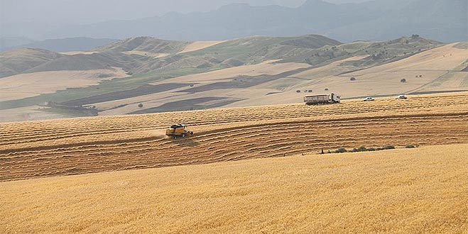 Tarımsal destekler belirlendi