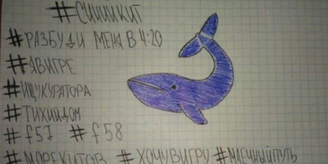 İntihar oyunu Mavi Balina’dan kurtulanlar anlatıyor İntihar oyunu Mavi Balina’dan kurtulanlar anlatıyor