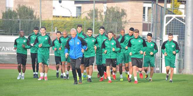 Timsah harıl harıl çalışıyor