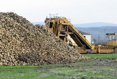 Yenişehirli çiftçiye pancar çağrısı