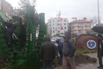 Gemlik’te 100 yıllık zeytin ağacı nakledildi