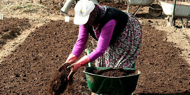 Biber sezonuna umutlu başlangıç