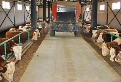 TKDK’den aldığı hibe desteğiyle çiftlik kurdu