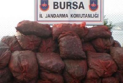 Gemlik’te kaçak midye ele geçirildi