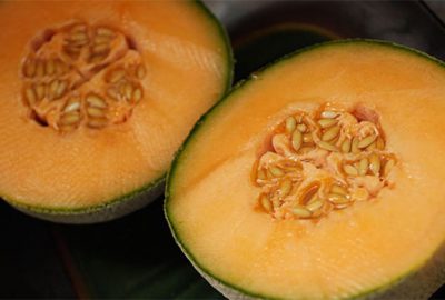 Bakterili kavun 4 can aldı