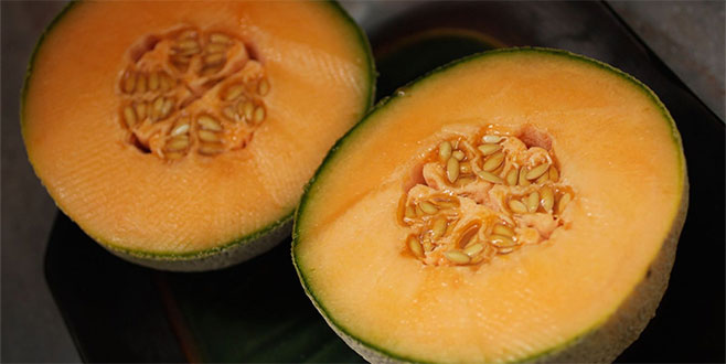 Bakterili kavun 4 can aldı Bakterili kavun 4 can aldı