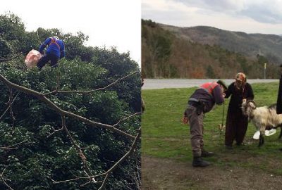 Bursa’da keçi kurtarma operasyonu