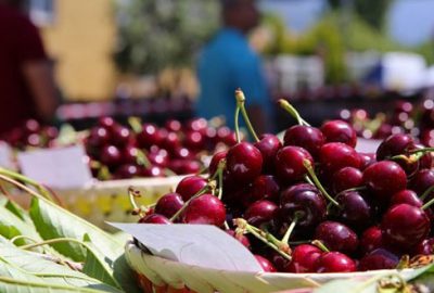 Kiraz ihracatına Uzak Doğu damga vuracak