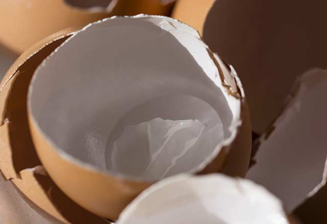 Yumurta kabuğu zarının ilginç faydası