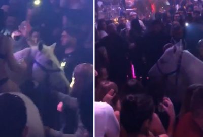 Gece kulübünde çıplak ata bindi! At tepti…