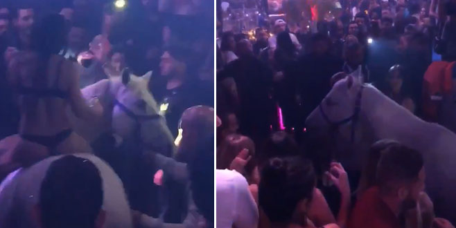 Gece kulübünde çıplak ata bindi! At tepti…