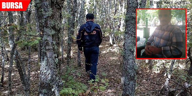 Ormanda tüfekle vurulmuş halde bulundu