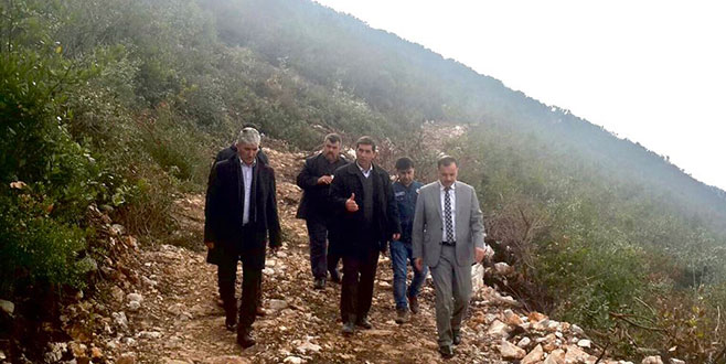 Orman köylerinde defne sahalarına rehabilitasyon