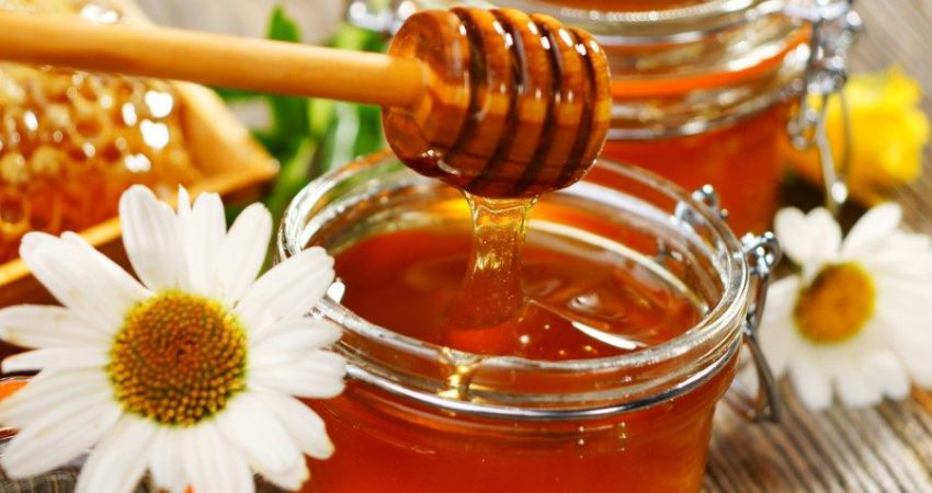 İçerisindeki vitamin, mineral ve aminoasitler ile çocukların gelişiminde faydalı olan