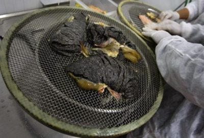 Görüntüsünü kimse beğenmiyor ama dünyanını en pahalı yiyeceği