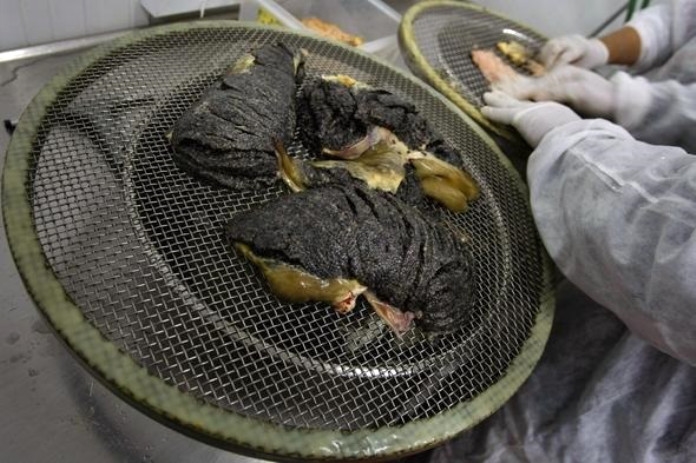 Görüntüsünü kimse beğenmiyor ama dünyanını en pahalı yiyeceği