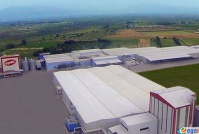 TMSF’deki Aynes cirosunu % 40 artırdı