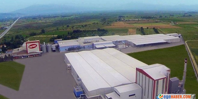 TMSF’deki Aynes cirosunu % 40 artırdı