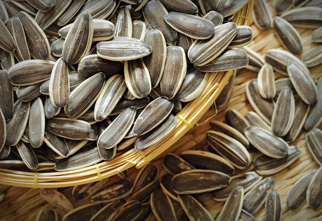 Çocuk sahibi olmak isteyenler dikkat! Bu yiyecekler..