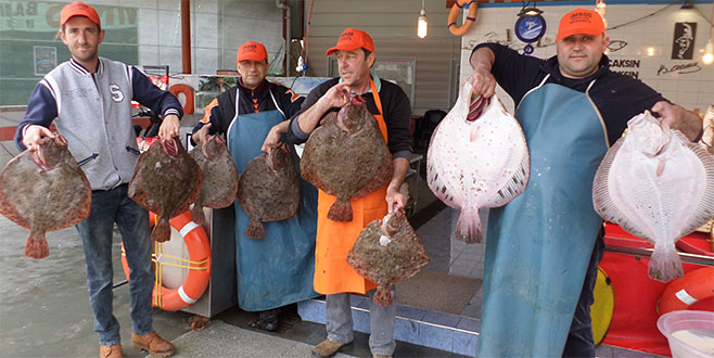 Balık fiyatlarında artış