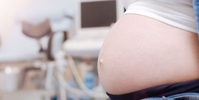 Sektör oldu! Avrupa’nın taşıyıcı anne merkezi Ukrayna