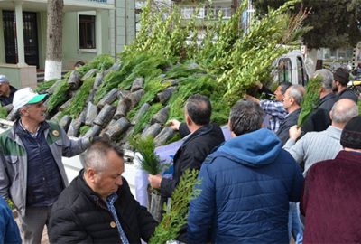 İzniklilere 5 bin fidan dağıtıldı