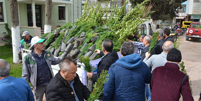 İzniklilere 5 bin fidan dağıtıldı