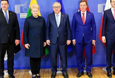 AB Bildirgesi’ne tepki