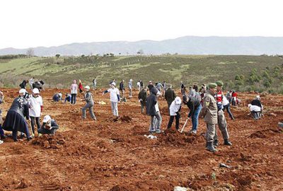 Şehitler adına fidan diktiler