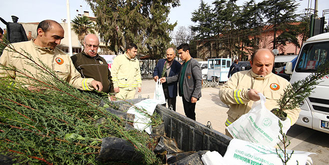 Yenişehir’de fidan dağıtımı