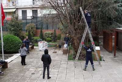 Selanik’teki asırlık nar ağacının bakımı yapıldı