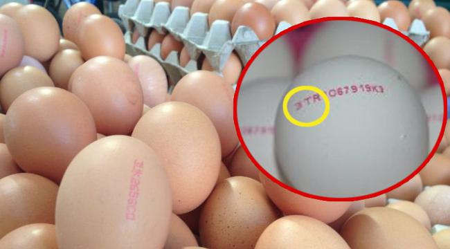 Yumurtanın üzerindeki bu numaraya dikkat!