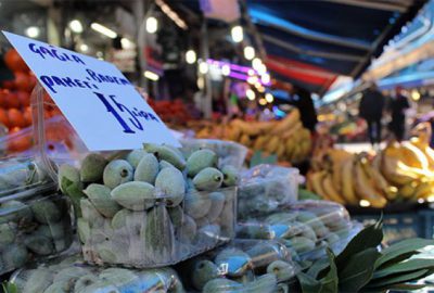 Çağla, Bursa tezgahlarında yerini aldı