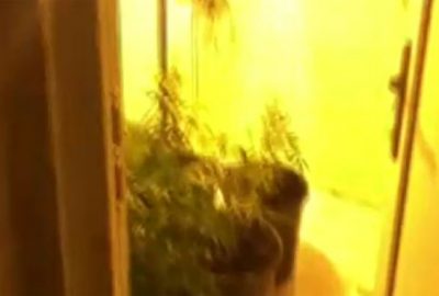 Apartman dairesini uyuşturucu serasına çevirmişler