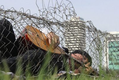 Balık ölümlerine böyle tepki gösterdi