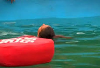 Baygınlık geçiren isme, ‘şov yapıyor’ denince ortalık karıştı