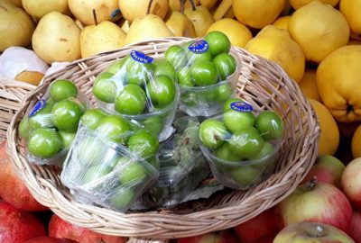 Eriğin fiyatı 25 liraya düştü