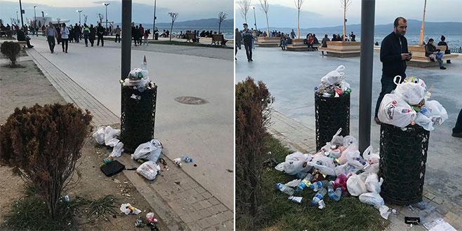 Mudanya sahilinde tepki çeken görüntü