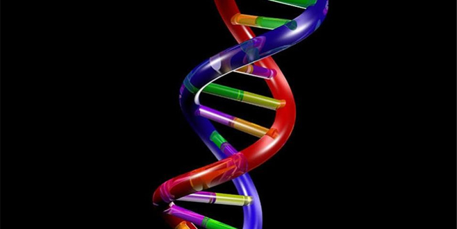 Türkiye’nin kanser haritası: Hangi bölgede hangi kanserler daha sık?