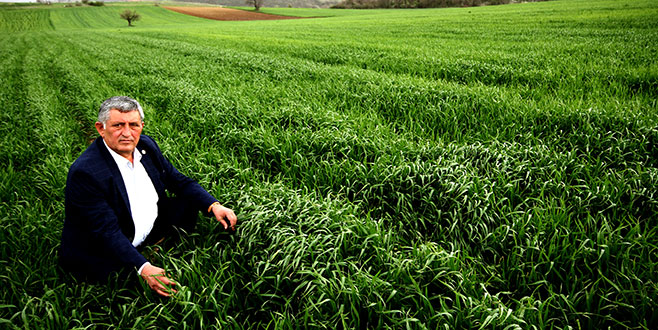 Yenişehirli çiftçi yağmur bekliyor