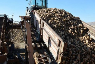 2 şeker fabrikasının özelleştirilmesi ihalesi yapıldı