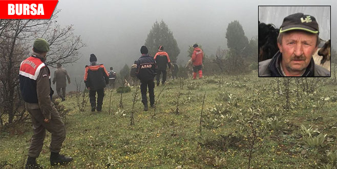Keçileri ahıra köpek getirdi, çobanın cesedi bulundu…