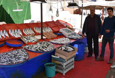 En ucuz balık ithal palamut