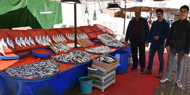 En ucuz balık ithal palamut