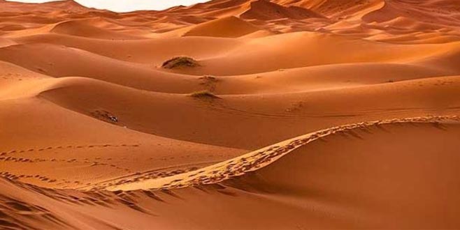 Suudi Arabistan’da 85 bin yıllık keşif