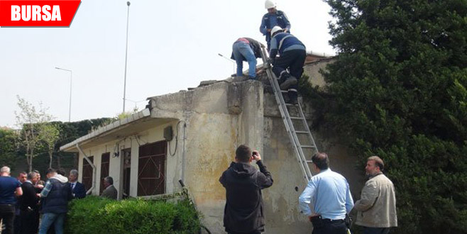Elektrik trafosuna giren hırsız, feci şekilde can verdi