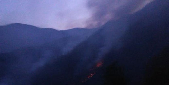 Rize Çayeli’nde ormanda örtü yangını